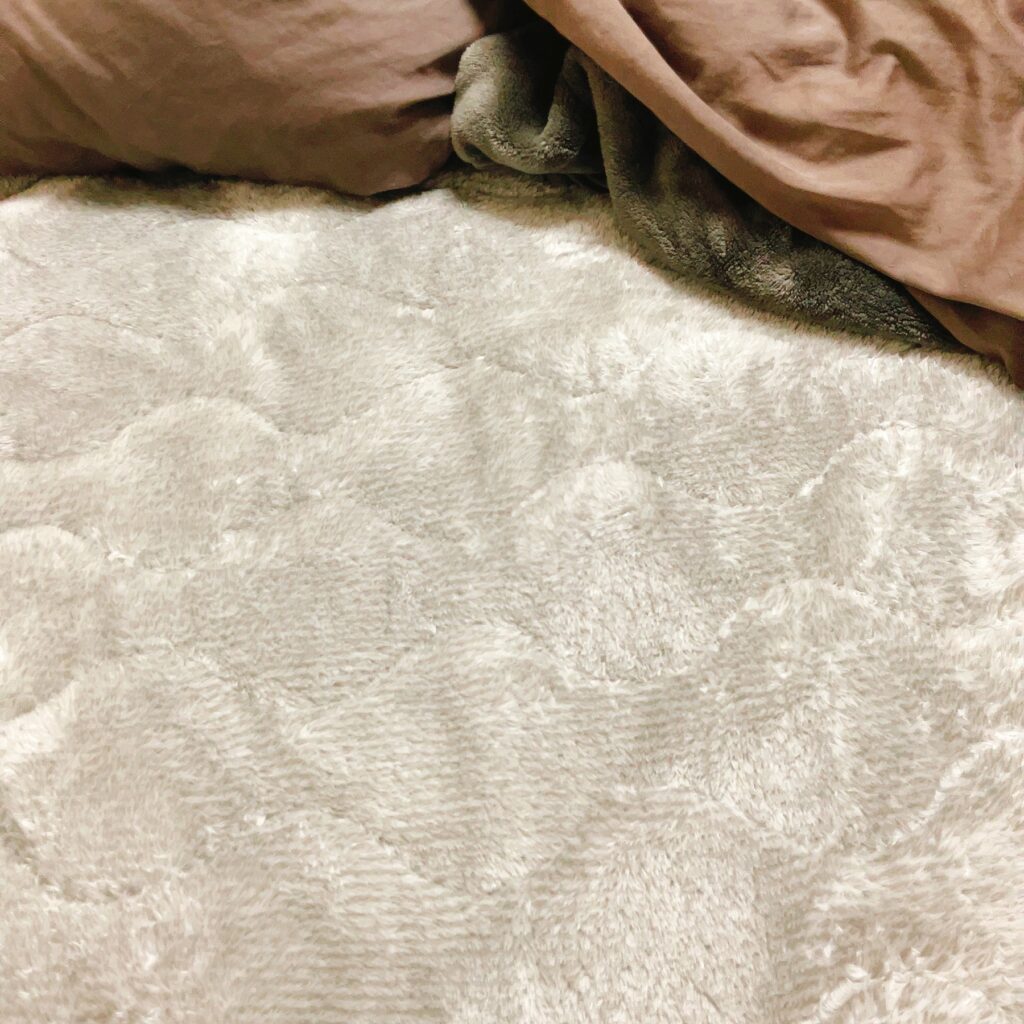 毛布バージョン　ふわふわ　もこもこ　肌触り最高　布団から出たくない